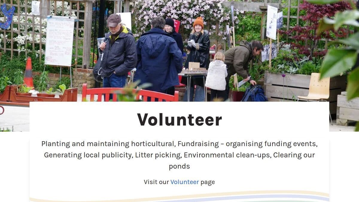 Meanwhile Gardens - Image 1