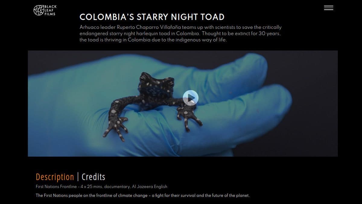 Black Leaf Films - Image 1