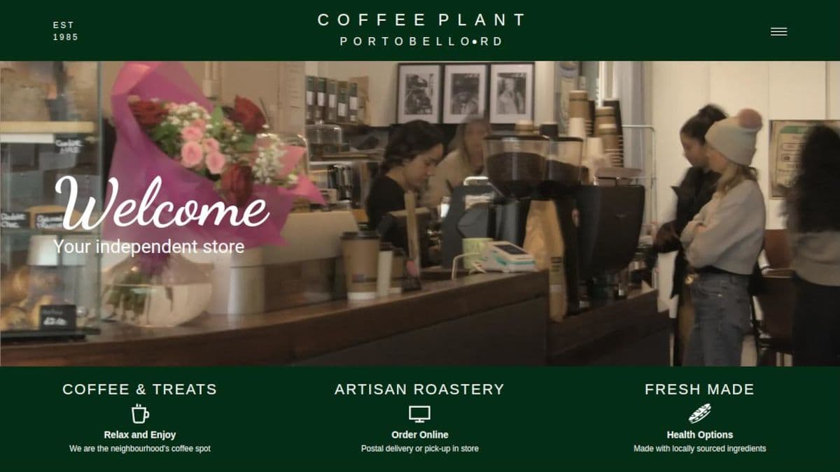 coffee plant - Image 1