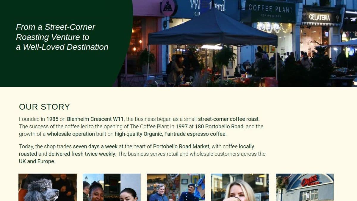 coffee plant - Image 3